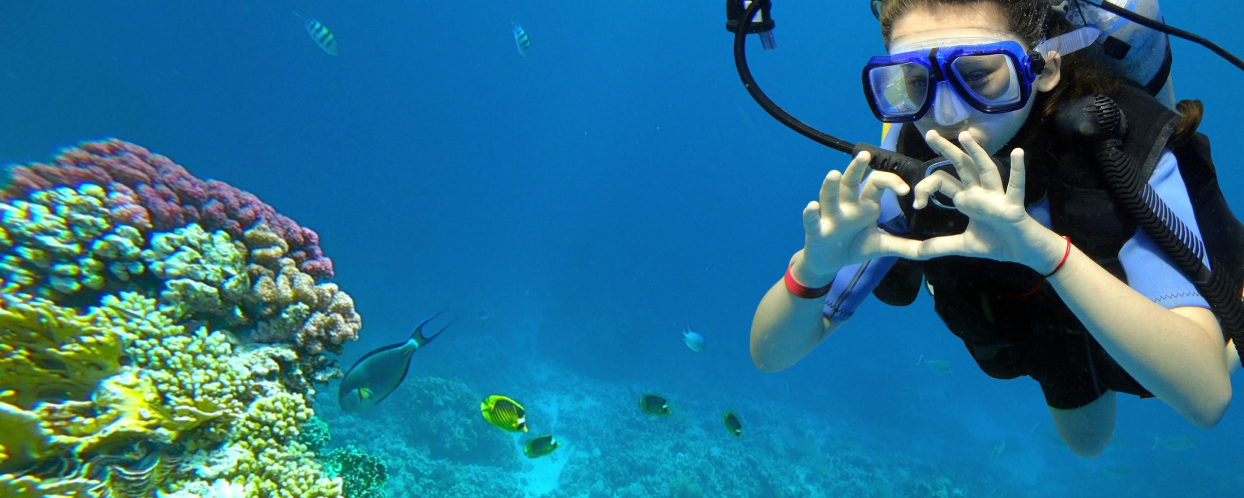 girl diver