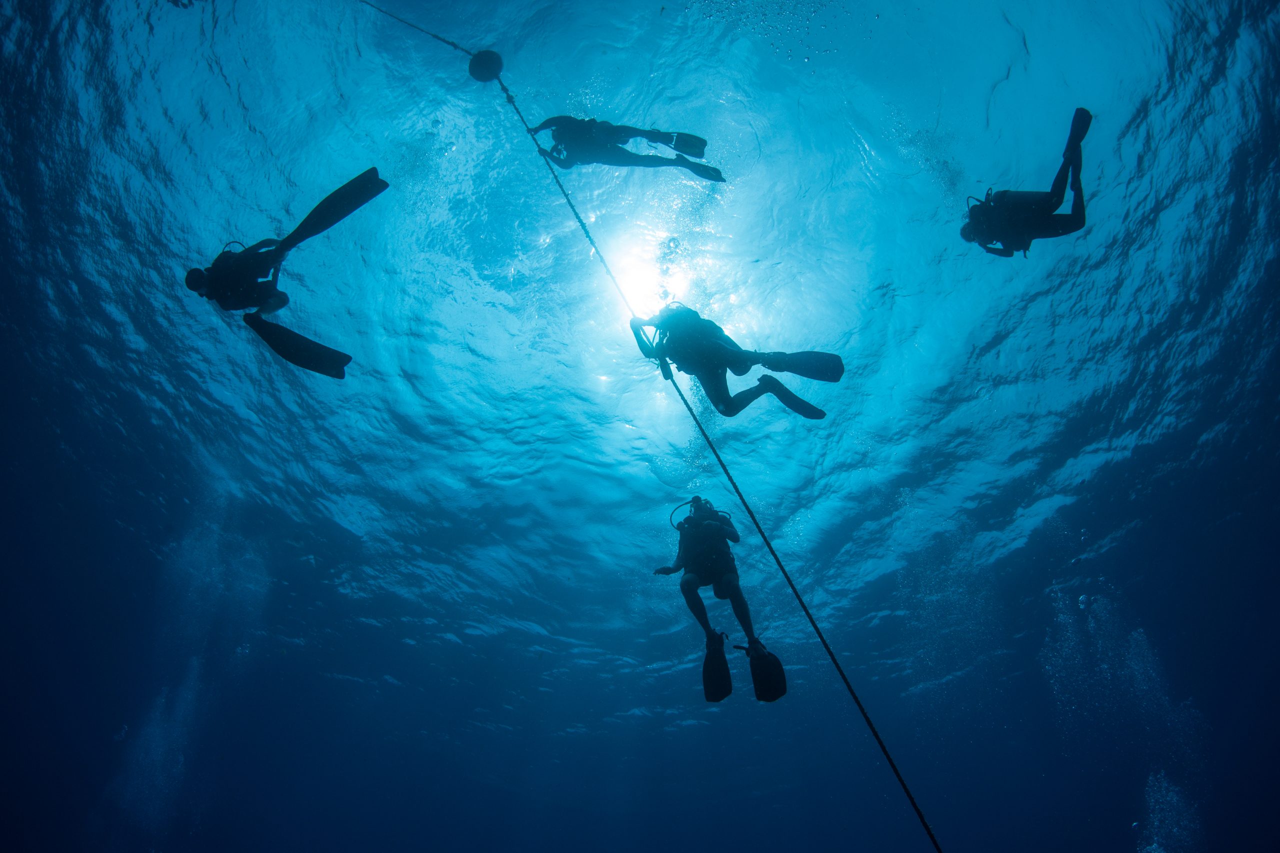 Scuba Diving