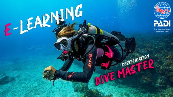 DIVE-MASTER-ELEARNING-PADI-Granville-Normandie-centre-plongee-PADI-2-600x338
